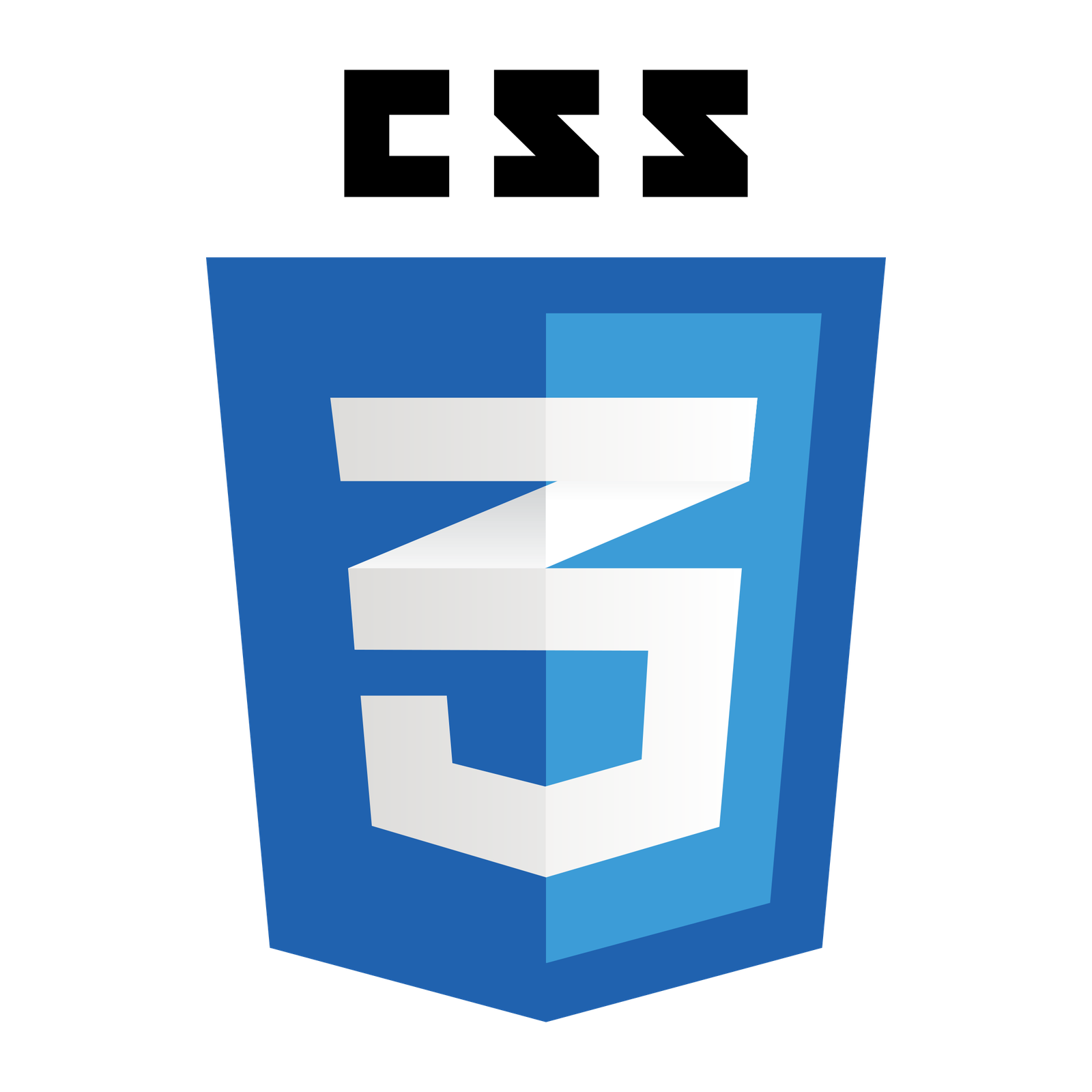 CSS CSS